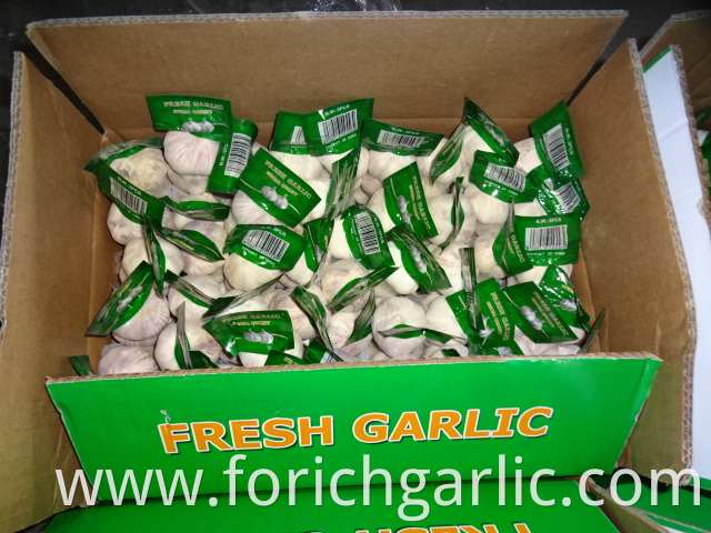 Normal White Garlic In Small Bag
